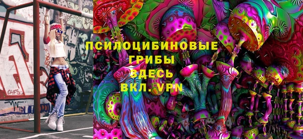 спайс Алексин