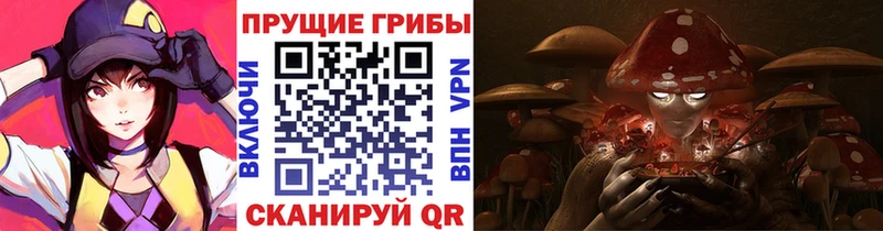 Псилоцибиновые грибы Cubensis Симферополь
